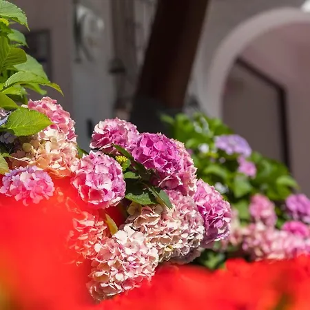 Отель Genziana